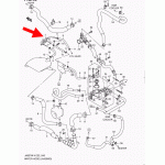 Патрубок, Шлангочки